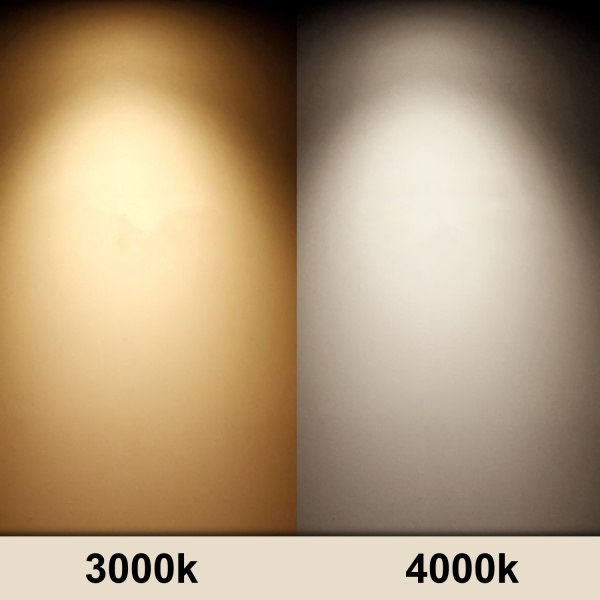 light_1579318573